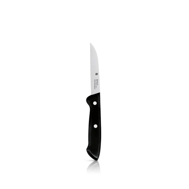 wmf-classic-line-gem-semesser-18-5-cm-k-chen-obstmesser-mit-8-cm-klinge-aus-spez image 1