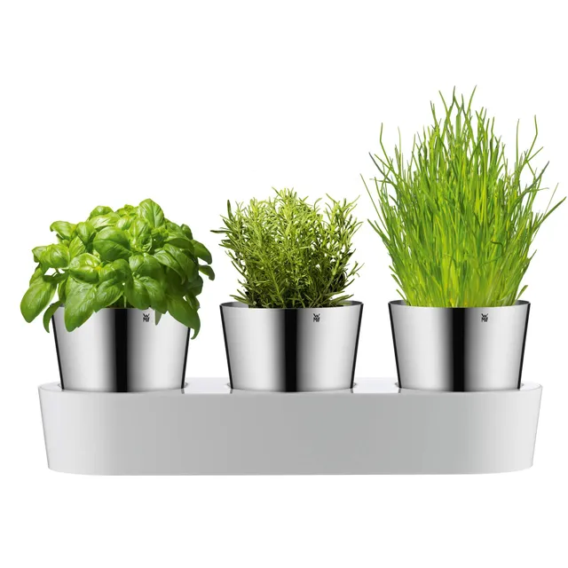wmf-gourmet-kr-utertopf-mit-bew-sserungssystem-3-teilig-kr-utergarten-f-r-die-k- image 1
