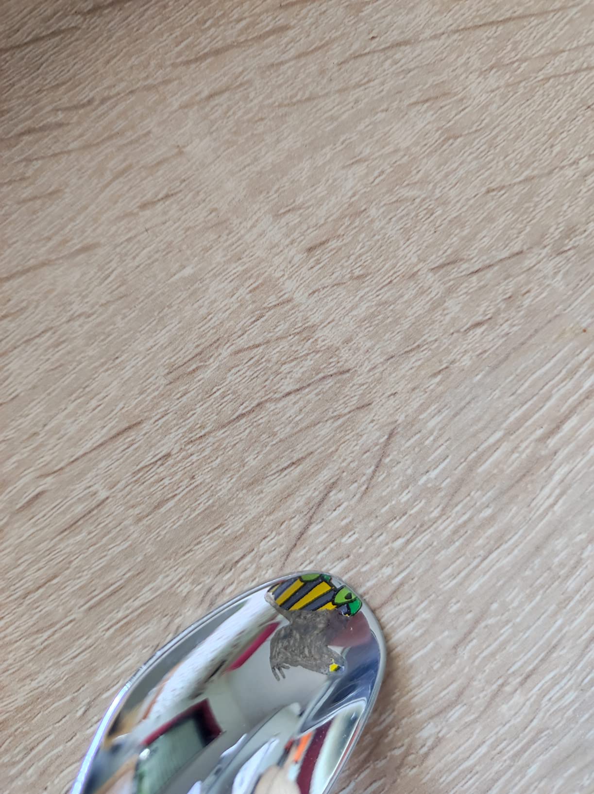 Unser Kleiner liebt es